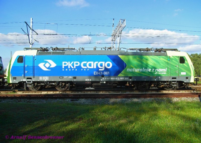 PKP-Cargo hat neue farbenfroh lackierte Loks des Typs TRAXX-F140-MS von Bombardier.
Hier als erste dieser Reihe die EU43-001, die von Bombardier 2007 unter der Fabriknummer 34305 gebaut wurde. 
Erstaunlich ist bei dieser neuen Lok die EDV-UIc Nummer 91 51 627 0000-8. Nicht nur, dass die Baureihenbezeichnung gar keinen Bezug zu EU43 hat, nein vielmehr ndert sich auch noch die laufende Nummer der ersten Lok in der Reihe von 001 in 000.
27.09.2008  Rzepin (Reppen)