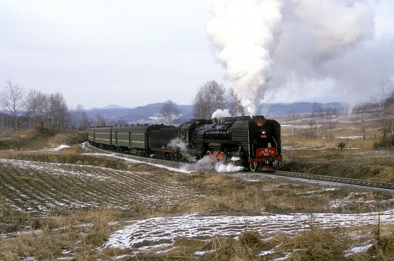 QJ 1985  bei Nancha  13.03.94