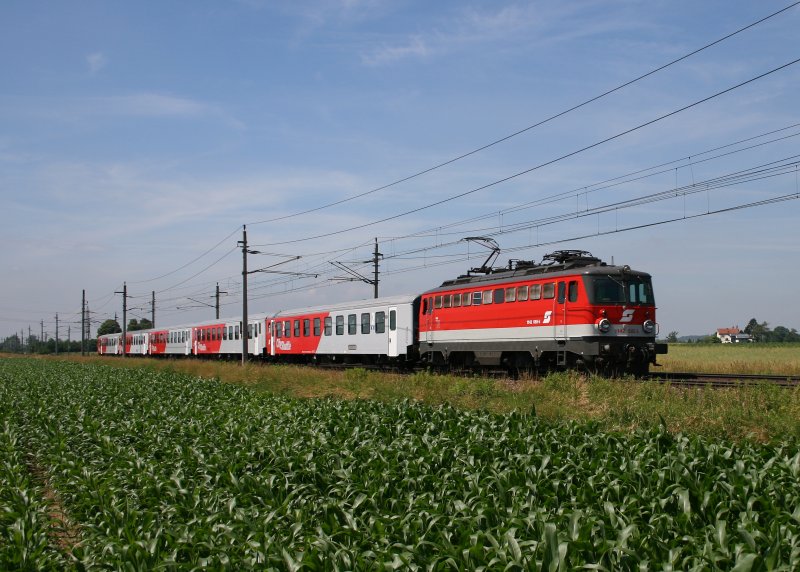 R 3015, der am 19.06.2008 mit der 1142.685 bespannt war, bremst sich fr den Halt in Oftering ein.