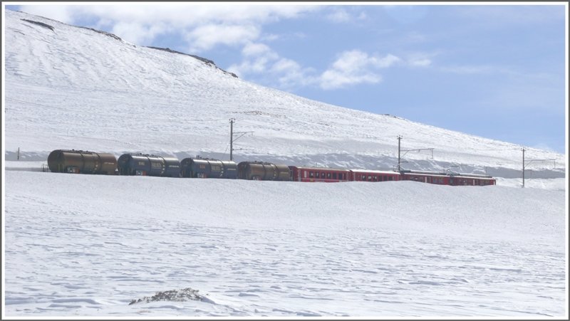 R1621 unterhalb der Arlas-Galerie am Berninapass. (10.03.2009)