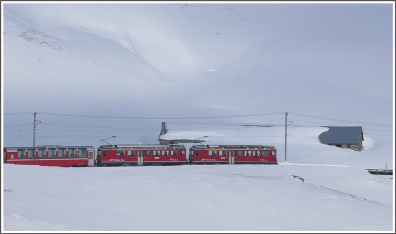 R1636 mit ABe 4/4 II 45 und 46 auf der tiefverschneiten Alp Bondo am Berninapass. (10.03.2009)
