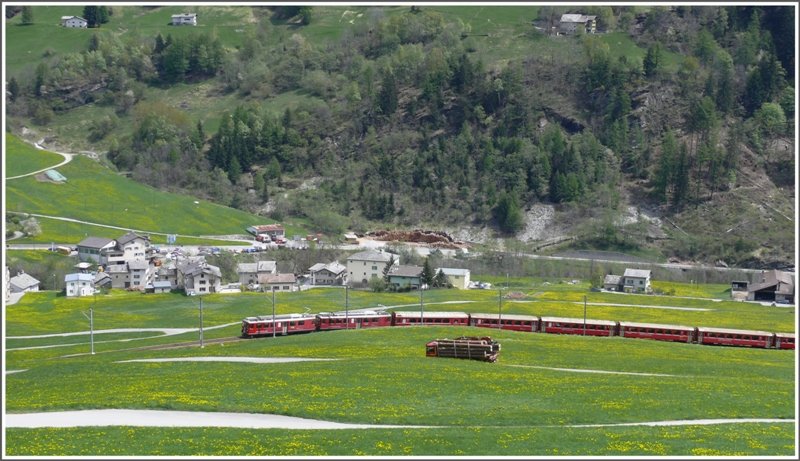 R1654 mit ABe 4/4 II 45 und 47 fahren bei Privilasco bergwrts, whrend ein Lastwagen mit firsch geschlagenem Holz langsam nach San Carlo hinunter fhrt. (06.05.2009)