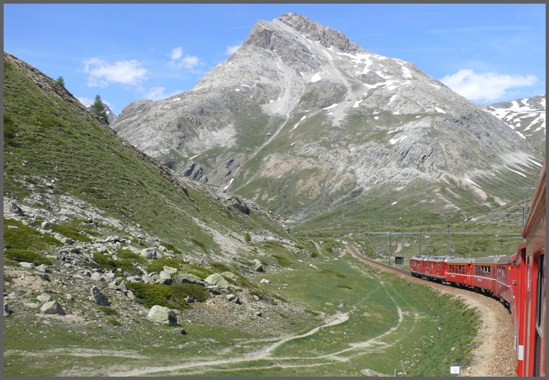 R1656 auf der Alp Bondo oberhalb von Bernina Lagalb. (18.06.2009)
