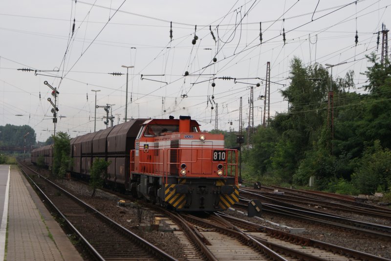 RAG 810 mit Kohlezug in KDR am 23.Juli 2008