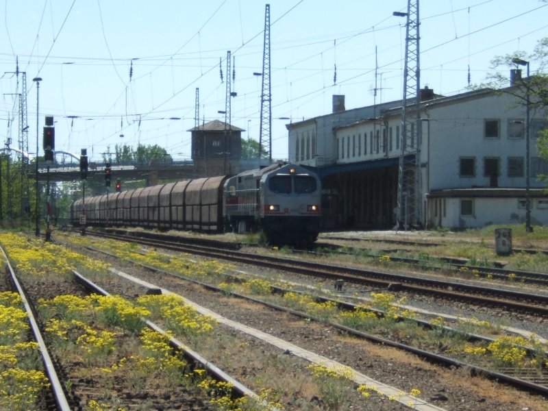 Raubtiersichtung an einem heien 30.4.07.Die V 20 der mkb schnurrt
mit einem langen Fal zug durch Gleis 6 des Bf Wittenberg.