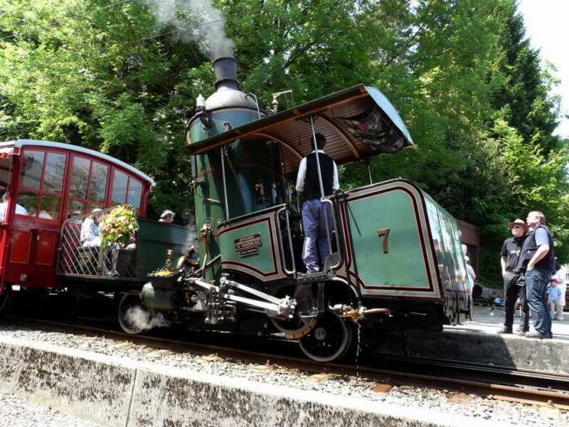 RB - Oldtimer Dampflok  H 1/2 7 am Dampflokfest im RB Bahnhof von Arth-Goldau am 23.05.2009