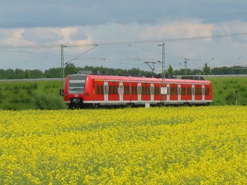 RB89  Westfalen-Bahn  nach Paderborn Hbf bei Elsen am 24.05.2005  