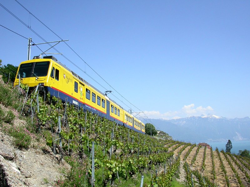 RBDe 560 131  Train des Vignes  Chexbres-Village 24.05.2004