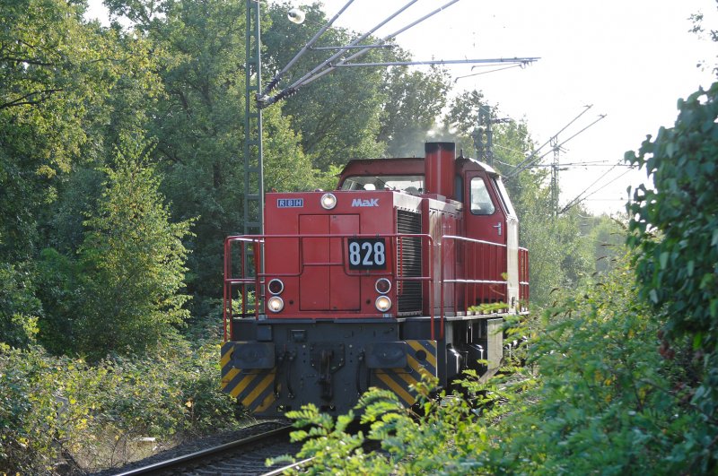 RBH 828 durchfhrt die  grne Hlle  bei Duisburg-Baerl. 17,09.2009