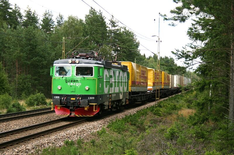 Rc4 1309 am 14.08.2007 mit einem Gterzug bei Hallsberg.