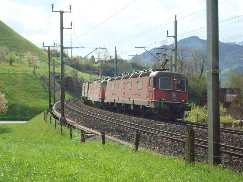 Re 10/10 mit GZ zwischen Steinen und Arth-Goldau am 02.05.2008