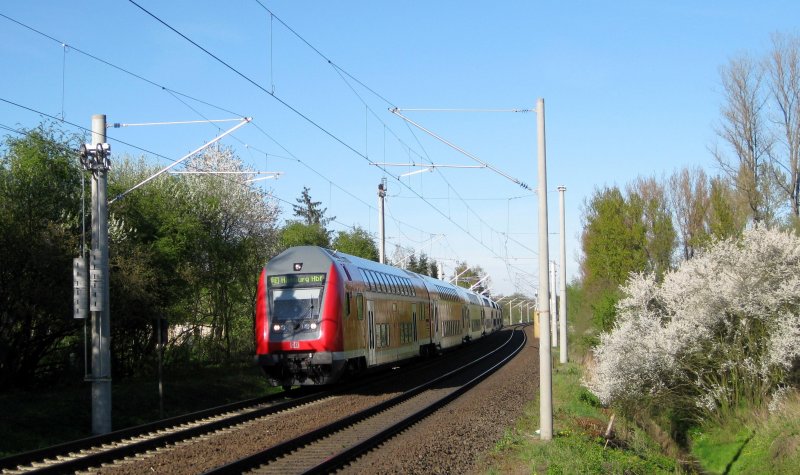 RE 21427 Lbeck Hbf - Hamburg Hbf beim passieren eines blhenden Fliederbusches kurz vor Reinfeld (Holst.) am 20.04.09.