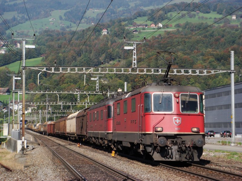 Re 4/4 II 11231 und Re 6/6 11666 mit GZ bei Steinen am 08.10.2007