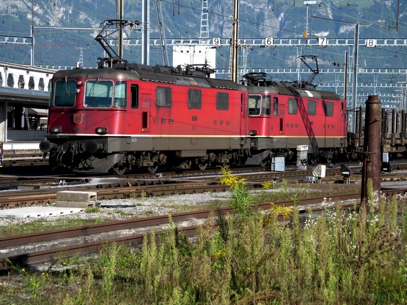 Re 4/4 II 11363 und 11321 warten mit einem leeren Holzzug aus sterreich auf die Abfahrt Richtung Zrich. Im Vodergrund sind noch die berreste eines alten Wasserkrans aus der Dampfzeit sichtbar. Buchs SG am 12.09.2006.