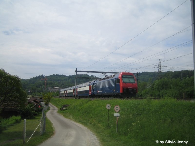 Re 450 070-8 ''Winterthur Wlflingen'' schiebt eine S12 nach Brugg bei den Schrebergrten Ausgangs Winterthur am 24.5.08. Die Re 450 070-8 ist nur noch bis im Oktober in SBB Diensten, danach geht sie zur SZU.