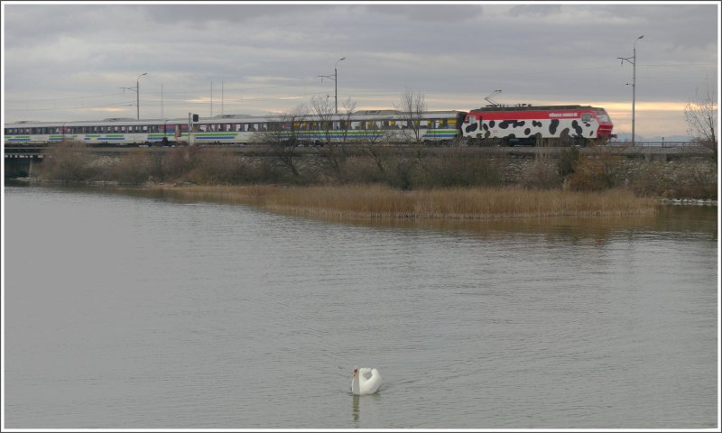 Re 456  Vgele Schuhe  mit Voralpenexpress auf dem Seedamm bei Rapperswil. (26.03.2009)