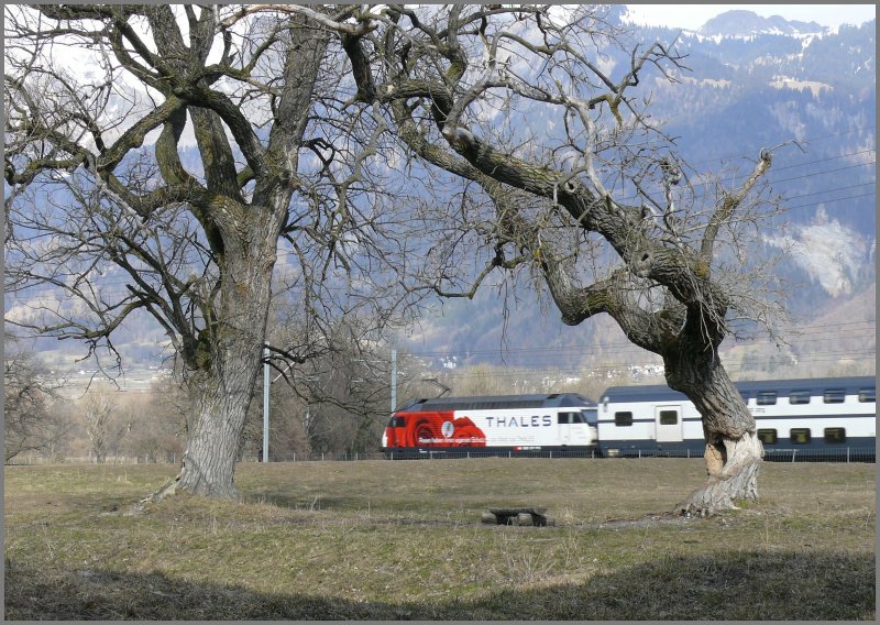 Re 460 012-8  Thales  schiebt einen IC nach Chur umrahmt von einigen dieser alten Bume auf der Rohanschanze bei Landquart. (21.02.2008)
