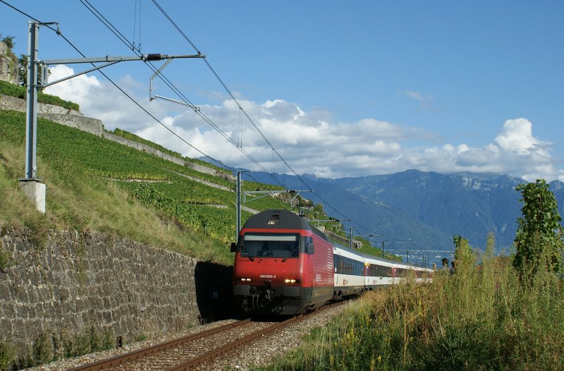 Re 460 042-5 mit IR 33537 Vevey - Luzern kurz vor Chexbres. 
(5. Sept. 2009)