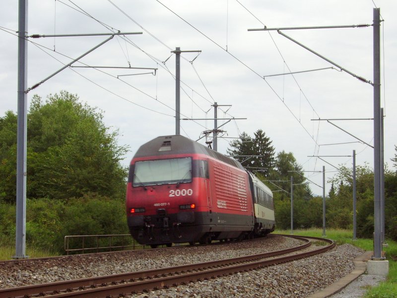 Re 460 077-1 drckt ihren IR 2568 Bern - Schaffhausen durch Altenburg-Rheinau. 14.08.08