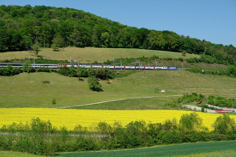 Re 460 106-8. Auf die  300 000  mit ihrem InterRegio habe ich diesmal am Bzberg (Aargau) gewartet. Das blhende Rapsfeld ist ein willkommener Farbtupfer. Rechts unten im Bild erkennt man die Ein- und Ausfahrt vom Bzbergtunnel. 26.4.2007