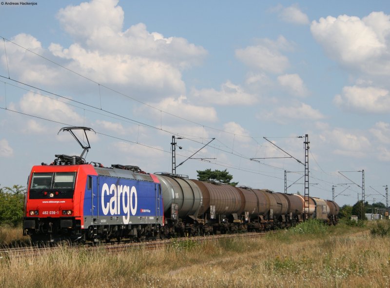 Re 482 036-1 mit einem ler gen RGN am km 33,0 der KBS700 24.7.08