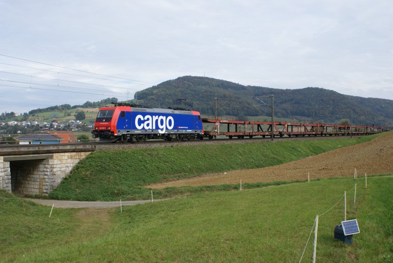 Re 482 039-5 am 5.10.09 mit einem leeren Autozug kurz vor Frick.