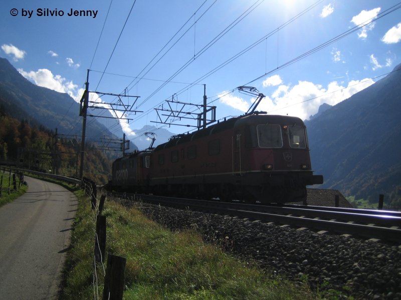 Re 6/6 11608 ''Wetzikon'' und Re 421 397-1 mit Gterzug oberhalb Frutigen.