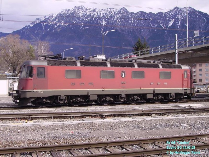 Re 6/6 11643  Laufen  brachte zusammen mit 2 Re 4/4  den 54619 vom RBL nach Buchs SG
14.03.08