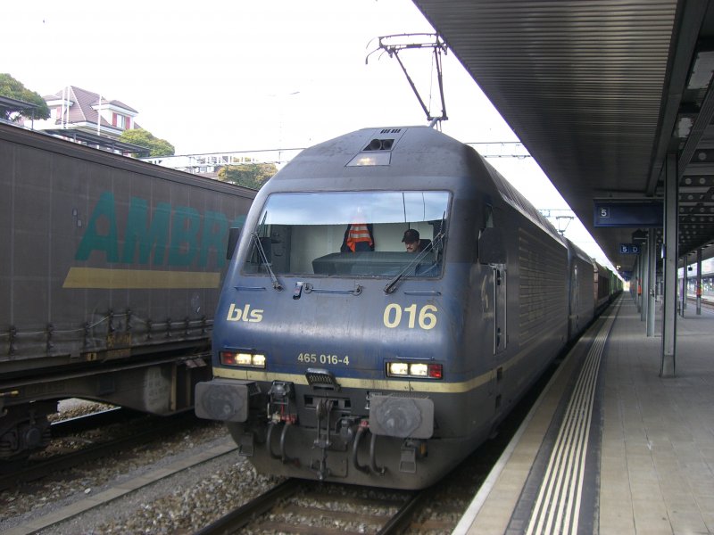 Re465 016 mit einem Hanggartnerzug am 03.11.2007 in Spiez.