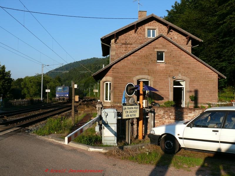 Regionalverkehr in den Vogesen. 
Der Elektrotriebzug Z11517 f�hrt als TER30360 (Strasbourg19.04-Metz20:42) durch Stambach.
Hier h�lt allerdings schon lange kein Zug mehr und das Geb�ude wird privat genutzt.

04.08.2007 Stambach