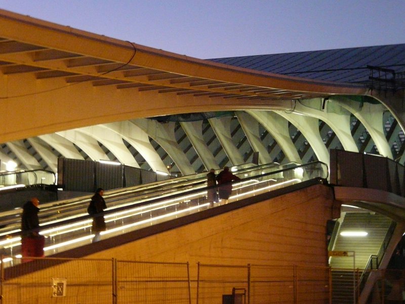 Reisende auf dem Weg zur Fugngerbrcke, um zu den Bahnsteigen und zu ihren Zgen zu gelangen am frhen Abend des 17.02.08 in Lige Guillemins.