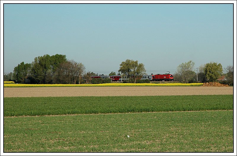 REX 2117 aus Gmnd nach Wien war am 16.4.2007 mit einer 1116 bespannt. Normalerweise sieht man bei Personenzgen auf der Franz Josefs Bahn keine Loks der Reihe 1X16. Aber wie ihr am nchsten Bild sehen knnt, lief die Lok, die den Zug normalerweise zieht, am Zugschluss kalt mit.
