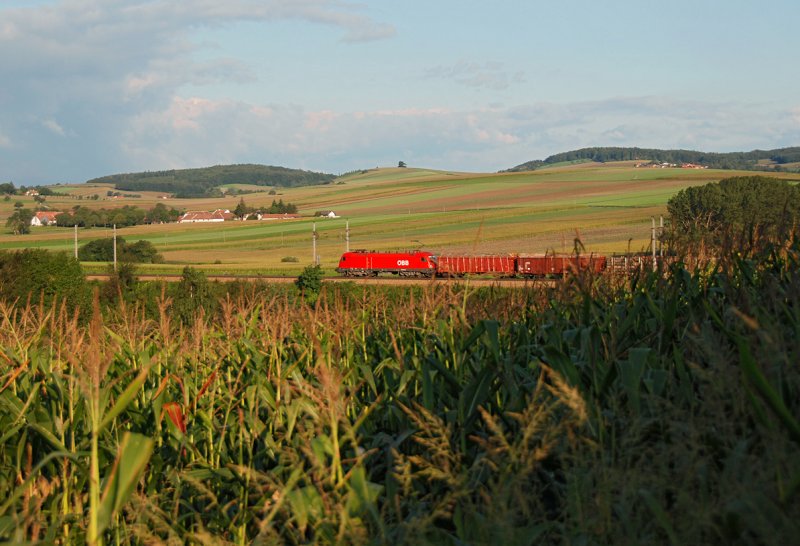 Rh 1116, unterwegs mit einem Gterzug Richtung Westen. Die Aufnahme entstand am 05.09.2009 zwischen Neulengbach und Ollerbach an der Westbahn in Niedersterreich.