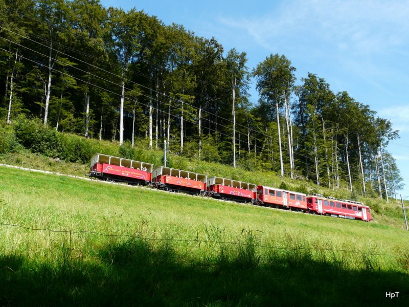 RHB / AB - Fahrplanmssiger Personenzug nach Heiden unterwegs bei Wienacht-Tobel am 16.08.2009