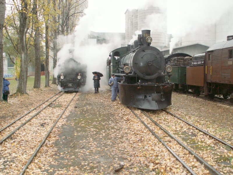 RhB Dampffestival Untervaz 2006.Im Vordergrund RhB Lok 108 mit dem grossen Schneepflug,links die FO Lok No.4 auf dem Holcim Festgelnde.Rechts sieht man noch die RhB Schneeschleuder und RhB Lok 107.Untervaz 29.10.06