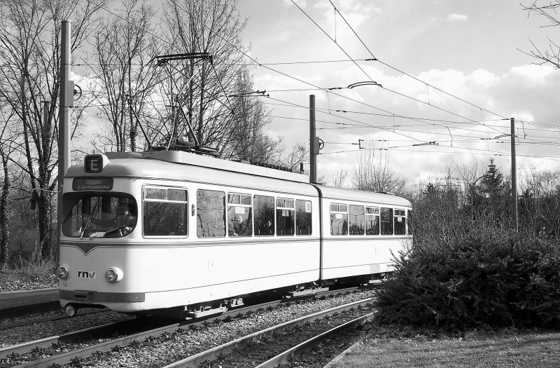 Richtig Gl�ck hatten wir am 18.03.2008, als uns ein 6-Achser Richtung Oppau am Giullini vor die Kamera fuhr. Normalerweise werden diese Stra�enbahnwagen auf der Linie 12 nicht mehr eingesetzt - es verkehren 8-Achser.