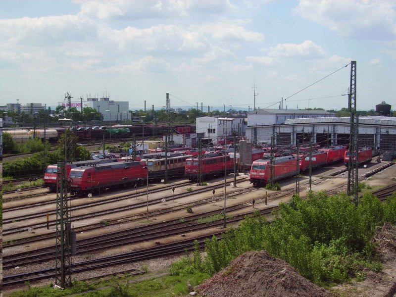 RMR am 4.7.06
Zu sehen sind Loks folgender Baureihen:
101,139,140,145,152,185 und 189.