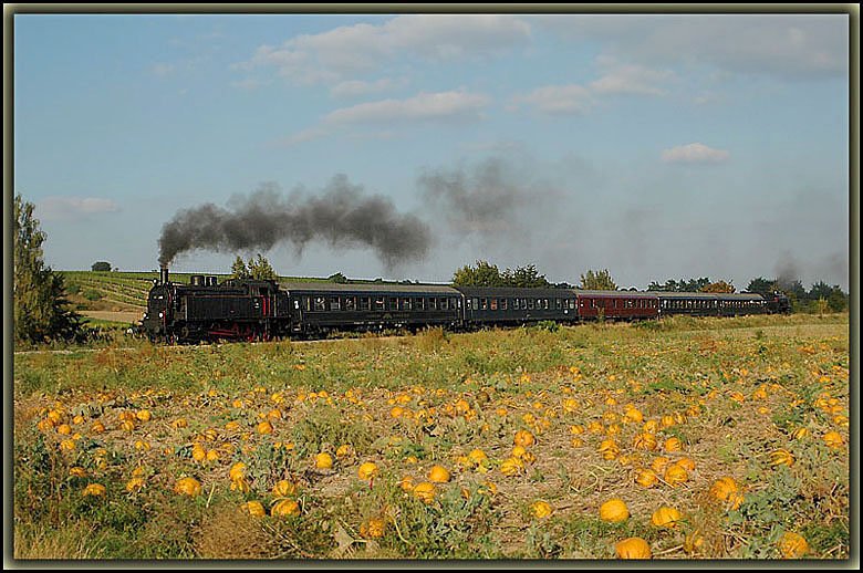 R�ckfahrt des IGE Sonderzuges R 16633 von Laa a.d. Thaya nach Wien-Floridsdorf am 22.9.2006 zwischen Pernersdorf und Watzelsdorf. Bei der R�ckfahrt war 77.250 (ex. �BB 77.244 / ex. BB� 629.59) an der Spitze, und 33.132 erledigte den Nachschub.