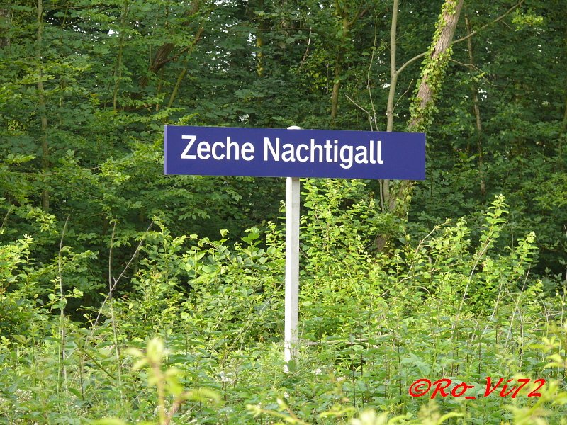 Ruhrtalbahn, BO-Dahlhausen-Hagen, Haltepunkt  Zeche Nachtigall . 03.06.2007.