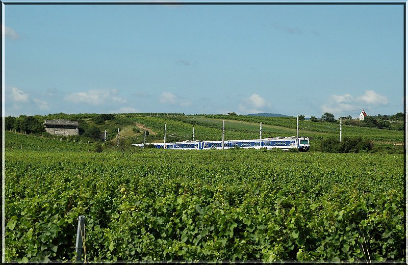 S-Bahngarnitur im Doppelpack am 15.7.2006 auf dem Weg nach Wien kurz vor Gumpoldskirchen.