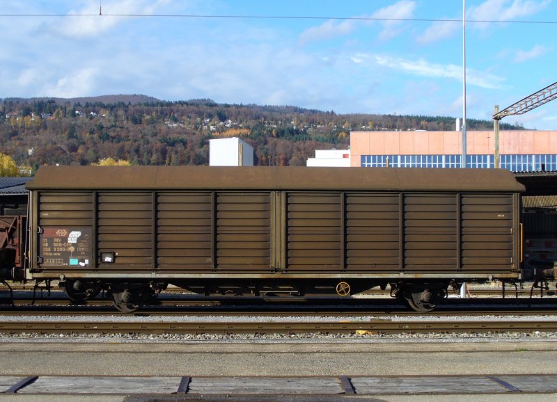 SBB Gterwagen Hbis-ww 21 85 225 2 293-5 im SBB Gterbahnhof von Biel-Bienne am 18.11.2006