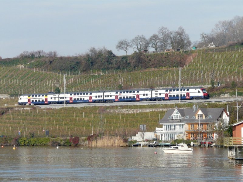 SBB - Triebzug Typ 514 unterwegs am Zrichsee bei Meilen am 29.11.2008