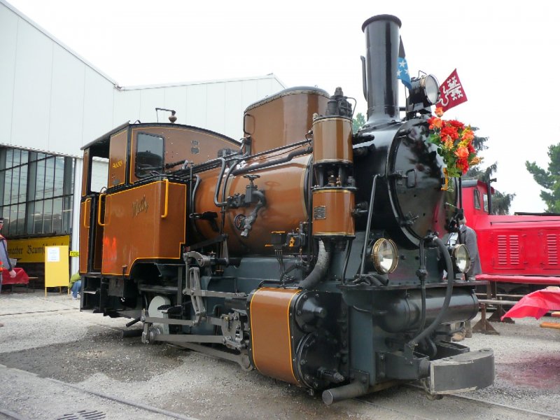 SchBB - Dampflok Molly im Betriebsareal bei der SchBB = Schinznacher Baumschulbahn am 28.09.2008 .... Bahnjubilum 30 Jahre ....
