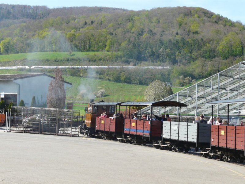 SchBB - Dampflok Molly mit Zug unterwegs bei Bahnjubilum  30 Jahre SchBB = Schinznacher Baumschulbahn und im Hintergrund der TGV im Doppelpack unterwegs nach Zrich am 27.04.2008