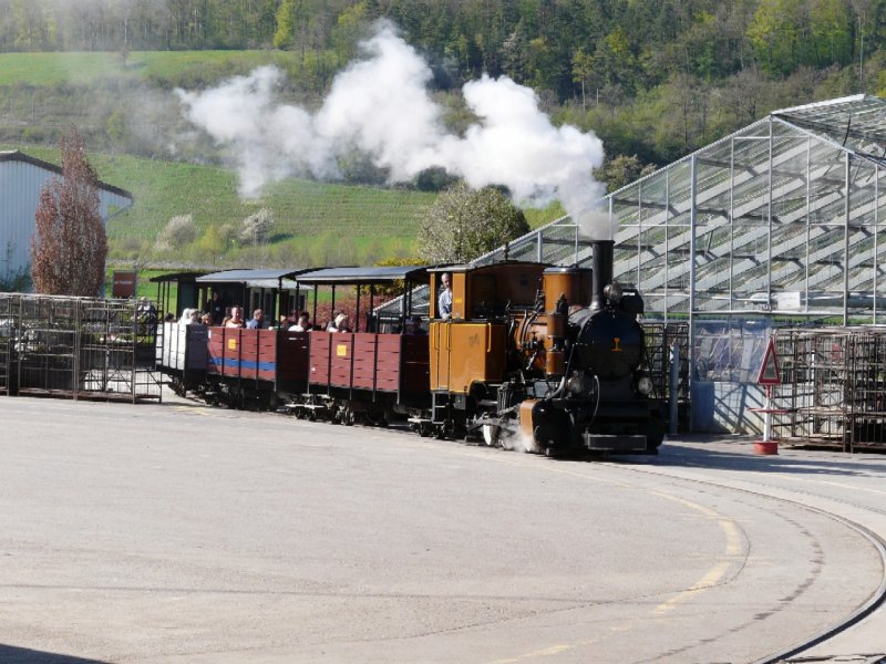 SchBB - Dampflok Molly unterwegs im Betriebsareal bei der SchBB = Schinznacher Baumschulbahn am 27.04.2008 .... Bahnjubilum 30 Jahre ....
