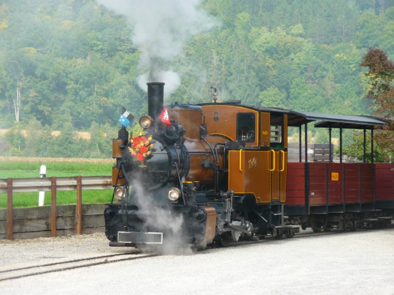 SchBB - Dampflok Molly unterwegs im Betriebsareal bei der SchBB = Schinznacher Baumschulbahn am 28.09.2008 .... Bahnjubilum 30 Jahre ....

