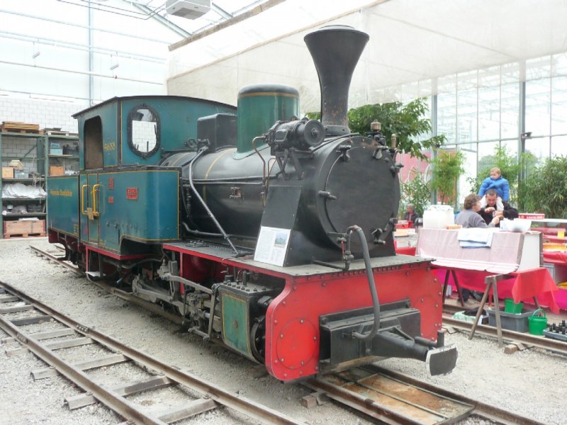 SchBB - Dampflok Sequoia abgestellt im Depot der SchBB am 28.09.2008