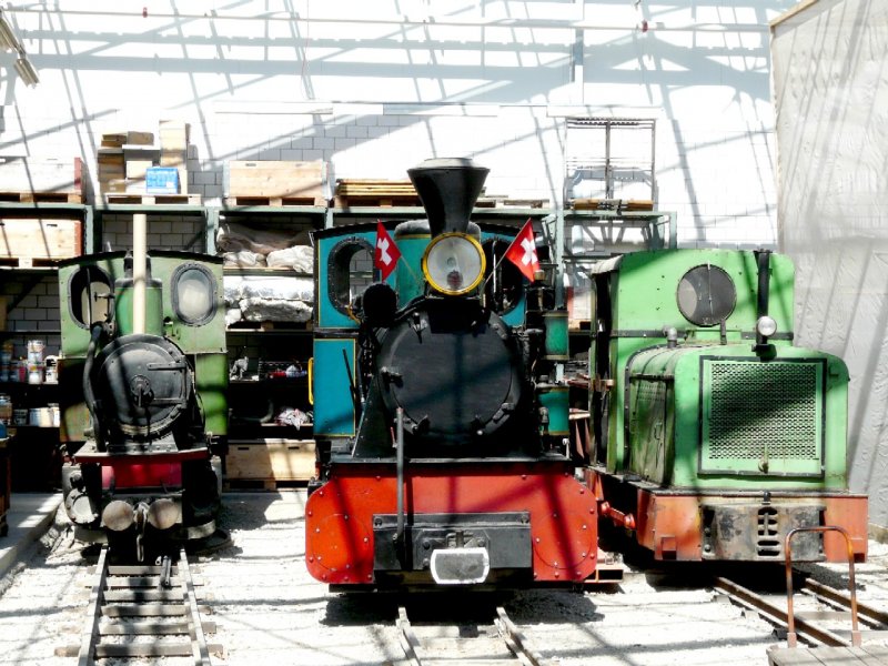 SchBB - Kleien Fahrzeugparade mit Lok Lukas und Lok Sequuoia und Lok Azalea im Depot bei der SchBB = Schinznacher Baumschulbahn am 27.04.2008 .... Bahnjubilum 30 Jahre ....