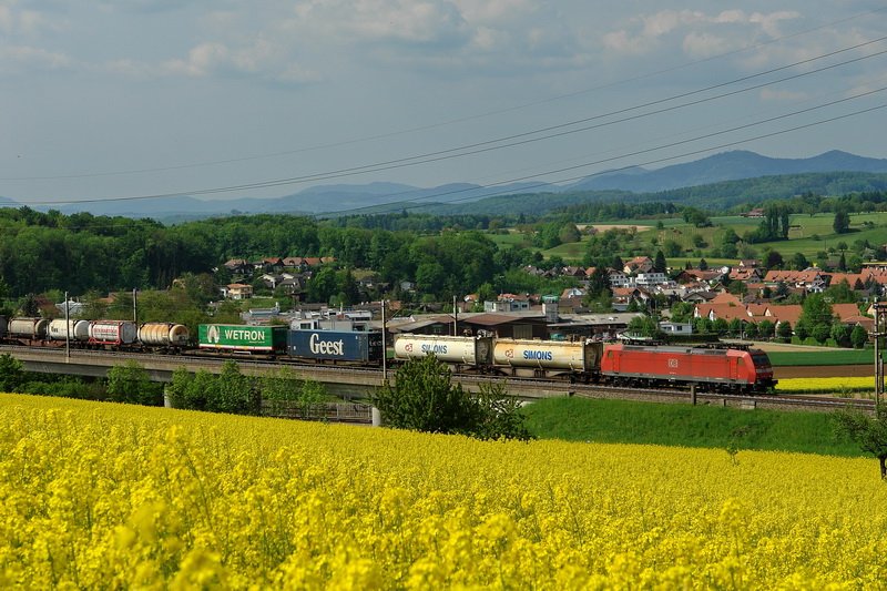 Schweiz - Kanton Aargau. Ein Gterzug durchfhrt die liebliche Landschaft bei Wallbach mit ihren blhenden Rapsfeldern. Im Hintergrund sind die Auslufer des Schwarzwalds zu erkennen. 9.5.2008