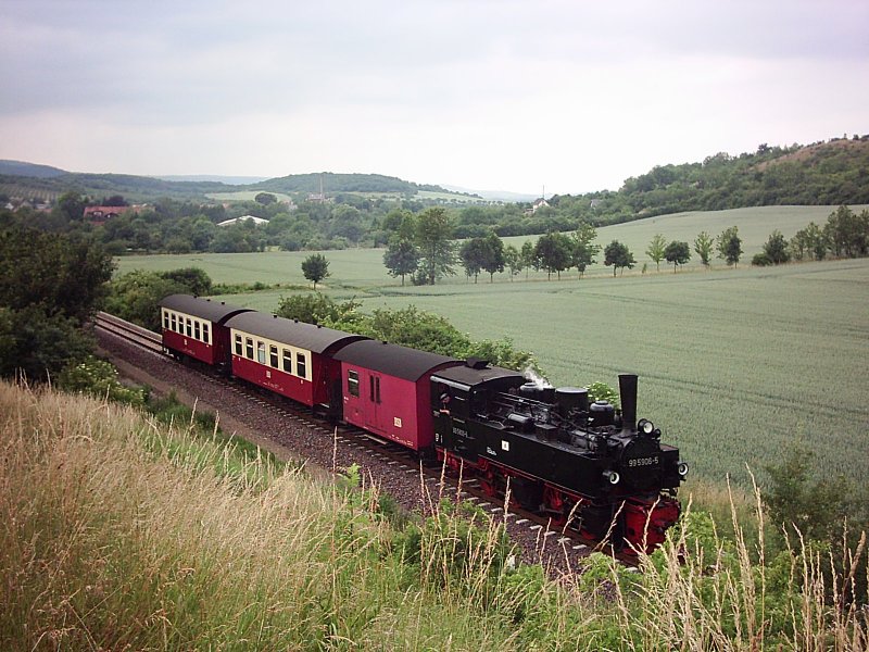 Seit 3 Tagen planmiger Zugbetrieb auf der verlngerten Selketalbahn von Quedlinburg nach Gernrode.
Hier am 29.06.06 Lok 99 5906 auf dem Weg nach Gernrode am Bckeberg.